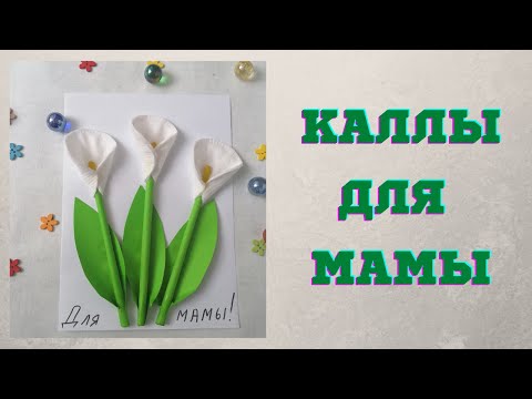 Видео: Цветы из ватных дисков - каллы для мамы