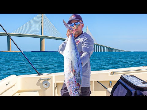 Видео: Эта рыба может принести вам 300 000 долларов! (Как поймать королевскую рыбу)