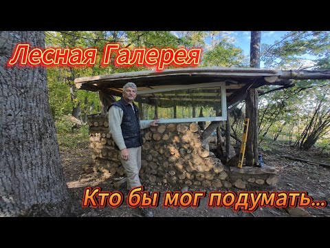 Видео: Окно в лесной мир отдыха и приключений.