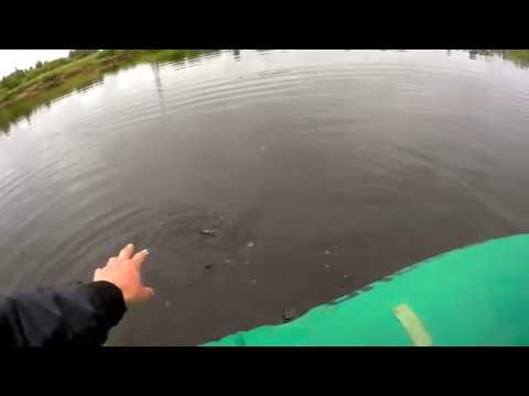 Видео: Матёрая щука на OneTen Magnum Megabass-любимый летний воблер.Сплав по реке.