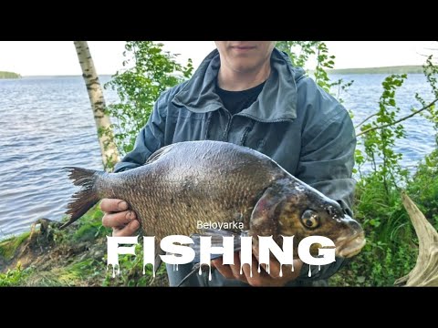 Видео: Урал. Фидер. Белоярка (Белоярское водохранилище)