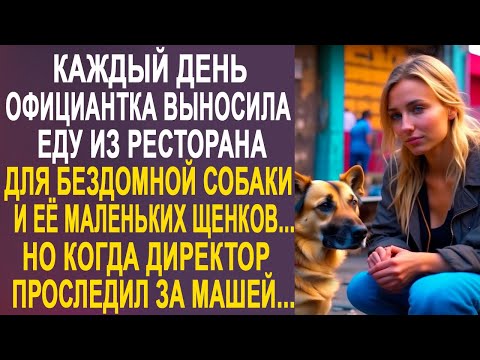Видео: Каждый день официантка выносила еду из ресторана для собаки и щенков. Но когда директор проследил...
