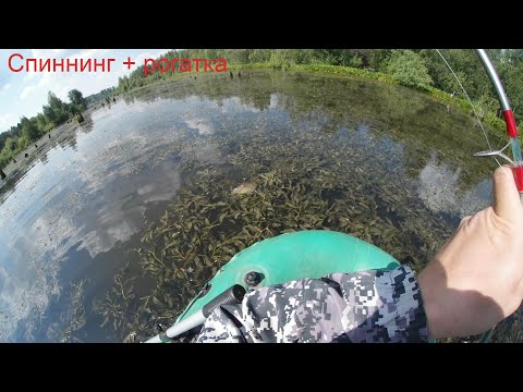 Видео: СПИННИНГ ПЛЮС РОГАТКА = САЗАН 8 КГ! РЫБАЛКА С РОГАТКОЙ #70