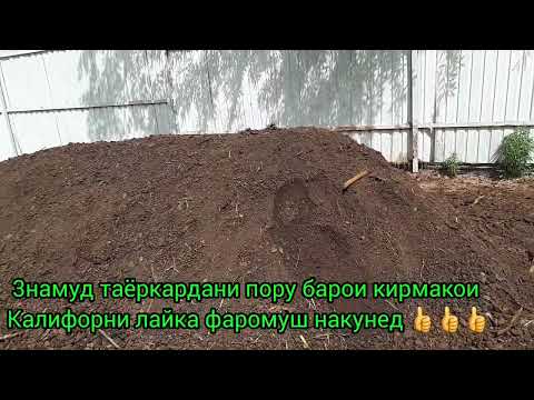 Видео: тарзи таёр кардани пору барои кирмако лайка 👍👍👍хатман тел. 915693444