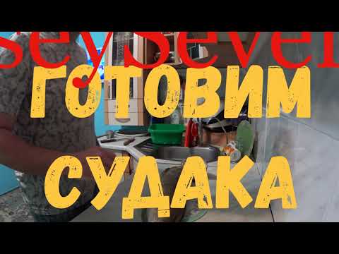 Видео: Готовим судака на мангале