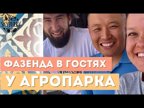 Видео: Показываем гостю, Как мы создавали АГРОпарк!