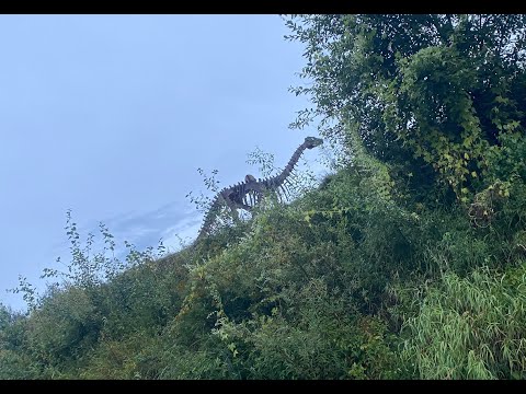 Видео: сплав по р. Клязьма