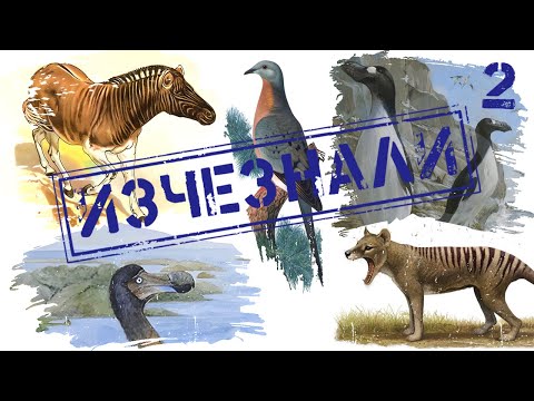 Видео: ТОП 10 ЖИВОТНИ, изчезнали по вина на ЧОВЕКА (Част II)