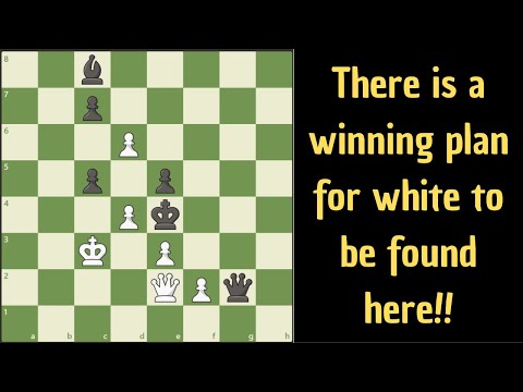 Видео: Победа белых здесь блестящая!