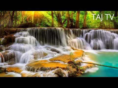 Видео: Фуркат Мастонов _Харборки аз суи бухоро ба ман ояд_2021 нав