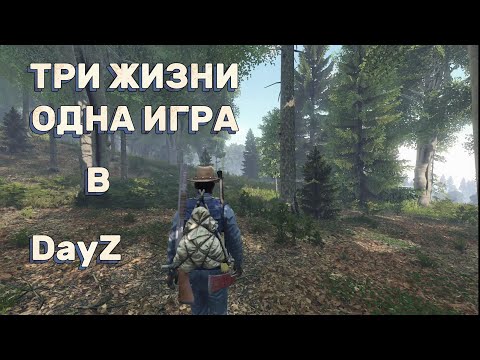 Видео: Три Жизни - Одна Игра В DayZ