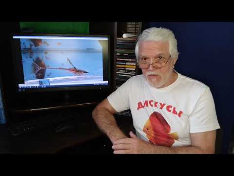 Видео: Стурисома Панамская (Резюме).