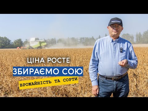 Видео: Ціна на сою росте — дають 21000. Закінчуємо обмолот, врожайність та огляд сортів.