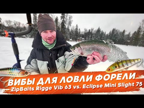 Видео: ВИБЫ ДЛЯ ЛОВЛИ ФОРЕЛИ СО ЛЬДА. Rigge vib 63 и Eclipse 75. #OnlySpin