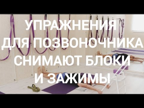 Видео: Болит спина? УПРАЖНЕНИЯ для ПОЗВОНОЧНИКА !