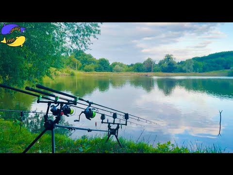 Видео: Короп на дикій водоймі