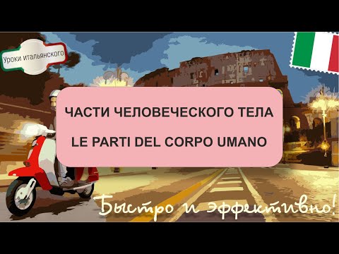 Видео: LE PARTI DEL CORPO UMANO - Части человеческого тела
