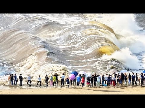 Видео: Это Безумие! В Африке Образуется Новый Океан