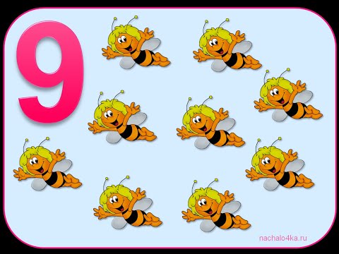 Видео: Число и цифра 9.