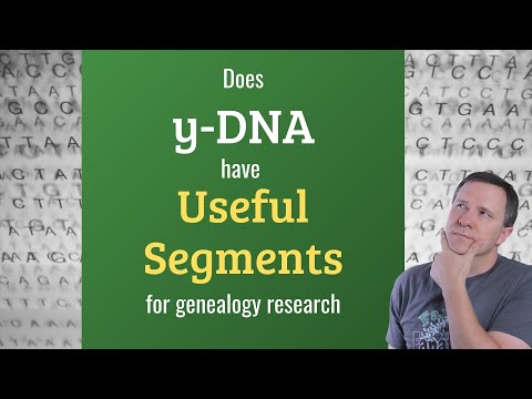 Видео: Стоит ли исследовать псевдоаутосомные регионы Y-хромосомы? | Генетическая генеалогия