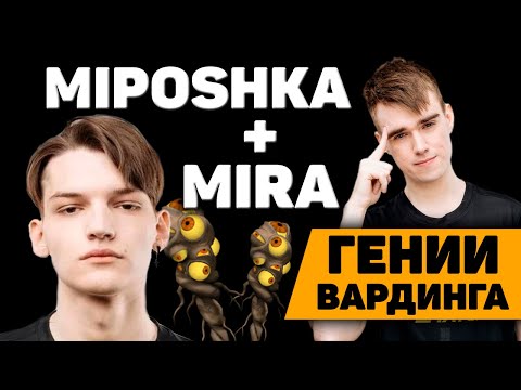 Видео: ГЕНИИ ВАРДИНГА МИПОШКА И МИРА