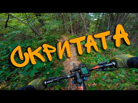 Видео: Скритата / Камен Дел DH (Витошки Сурляци Series) #MTB