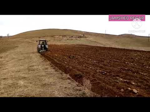 Видео: Н.ТУРСУНЗОДА Дехаи Ширкент тамошо кун куху адира