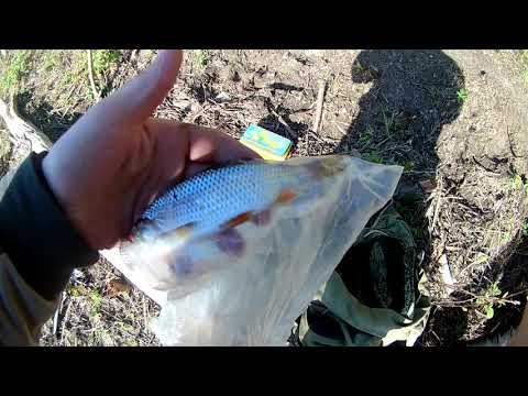 Видео: Рыбалка на р.Унжа