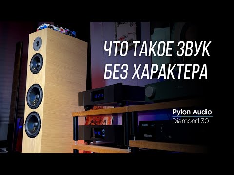 Видео: Обзор акустики Pylon Audio Diamond 30