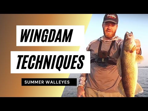 Видео: Методы летней ловли на миссисипи | Ловля летнего судака и малоротого окуня