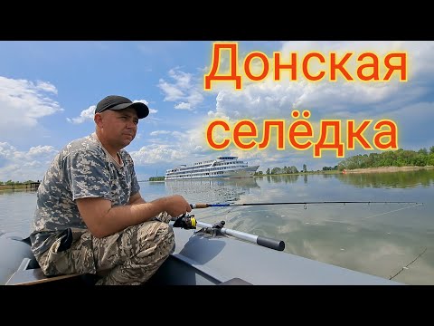 Видео: Ловля Донской селёдки!!!