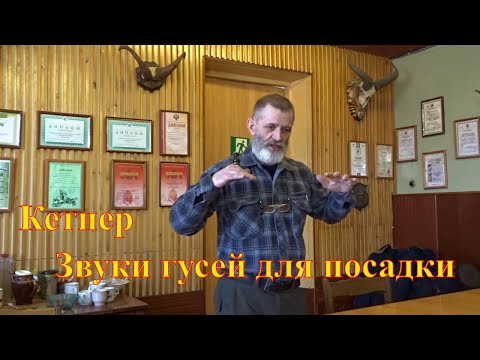 Видео: Кетнер. Семинар. Рабочий набор звуков от мастера, звуки гусей манок на гуся