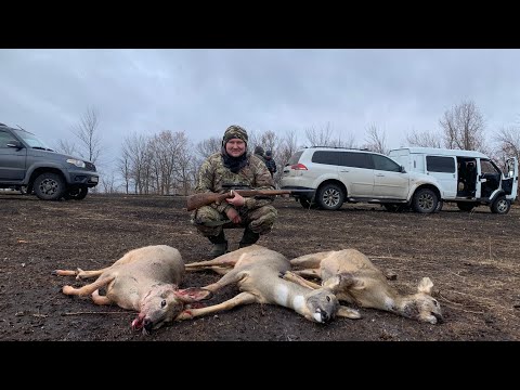 Видео: ЗАГОННАЯ ОХОТА НА КОСУЛЮ СЛАВНАЯ БЫЛА ОХОТА #hunting #охота