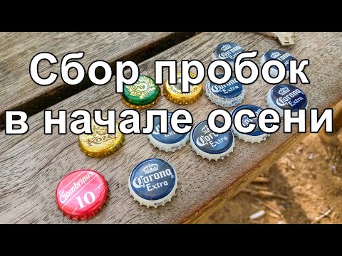 Видео: Собираем пробки в Чехии в начале осени