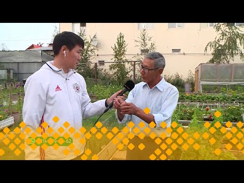 Видео: «Тиэргэн»: Бережновтар дьиэ кэргэн (12.08.24)