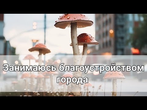 Видео: Улучшаю инфраструктуру района, объект 2/не закрыт • Чем мне (не) нравится Подмосковье