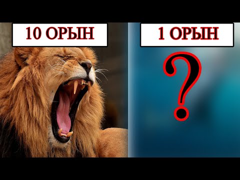 Видео: ТІСТЕУ КҮШІ ЕҢ МЫҚТЫ ЖАБАЙЫ АҢДАР!