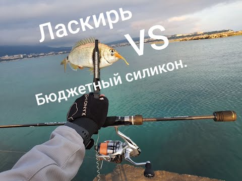 Видео: Ласкирь VS Бюджетный силикон.