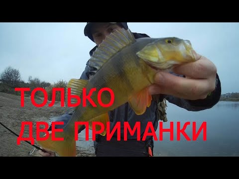Видео: КАК БЫСТРО ПОЙМАТЬ РЫБУ ??  ДВЕ ПРИМАНКИ ДЛЯ ОКУНЯ !!!