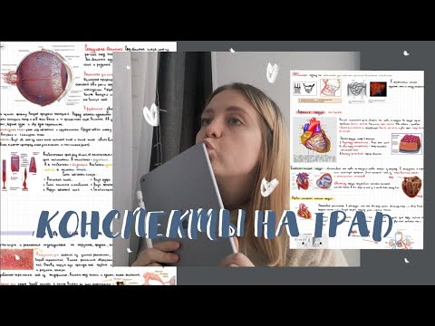 Видео: электронные конспекты || как я веду конспекты на ipad? || айпад для учебы