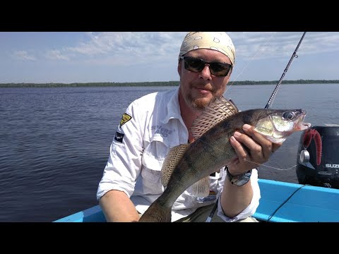 Видео: В самое пекло на ДЖИГ. +35, а РЫБА ловится