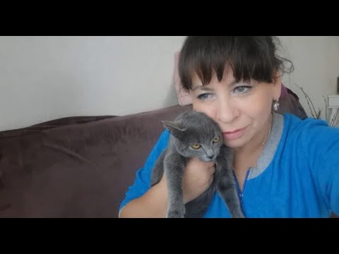 Видео: Пришла и осталась жить с нами. Строительство навеса. Творожная запеканка в мультиварке.