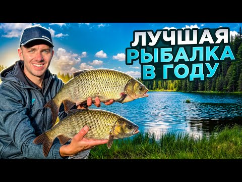 Видео: Крупные язи на фидер. Трофейная плотва. Осенний фидер на реке.