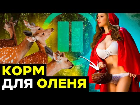 Видео: ПАУЗА II ТЫ ОЛЕНЬ ЕСЛИ ВЕДЁШЬСЯ НА ЭТО пауза в отношениях