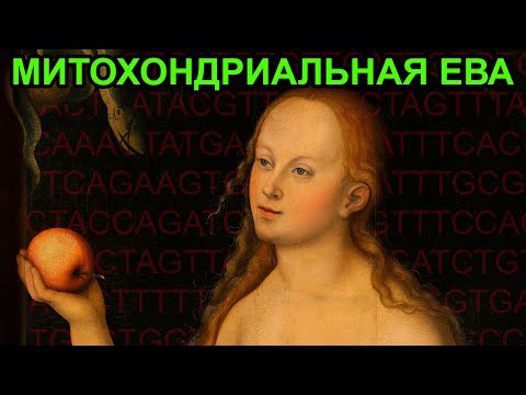 Видео: Митохондриальная Ева