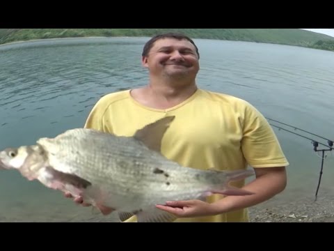 Видео: Мій Дністер. Рибалка на Дністрі на ляща, судака і окуня.