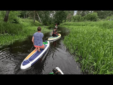 Видео: Река Нерская от Куровского до села Хотеичи. Сплав на SUP досках.