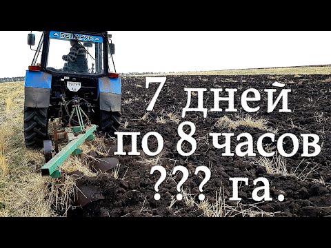 Видео: На что способен МТЗ ⁉️ Пашу 7 дней по 8 часов↩️