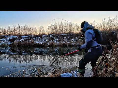 Видео: ТА СКІЛЬКИ Ж РИБИ В ЦІЙ МІКРОРІЧЦІ?! АЗАРТНА ЛОВЛЯ ЩУКИ НА СПІНІНГ