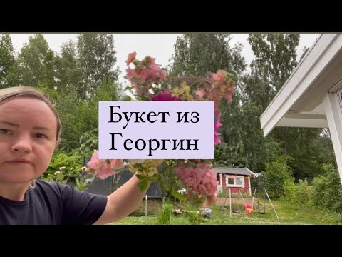 Видео: Букет из георгин